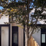 Mature tree framing the Haus A36 laneway home with wood cladding, a white metal roof and black-framed doors in Playter Estates, Toronto.